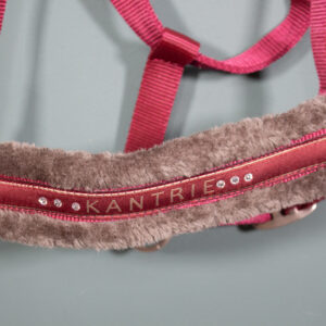 Kantrie Halfter rot COB