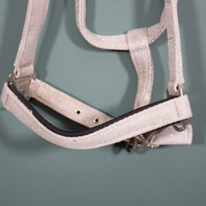 Horsegear Halfter grau WB