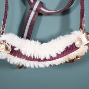 HV Polo Halfter rot COB