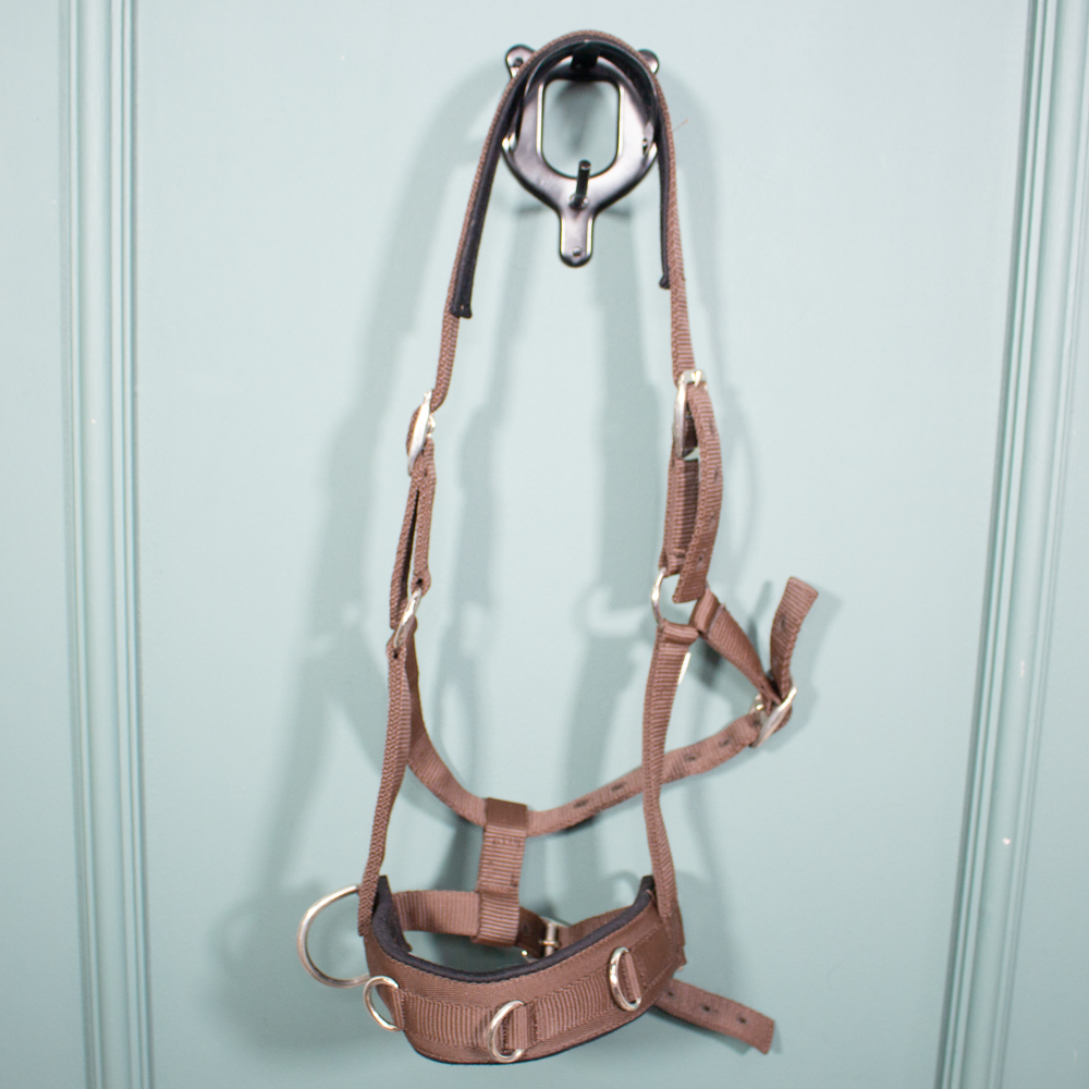 Longierhalfter braun WB