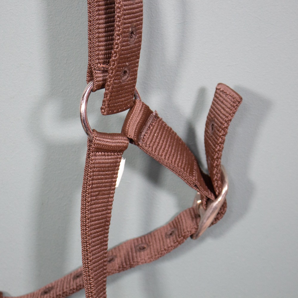 Longierhalfter braun WB – Bild 3