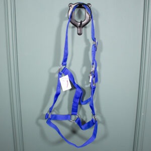 German Riding Halfter blau WB