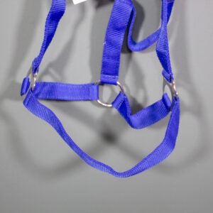 German Riding Halfter blau WB