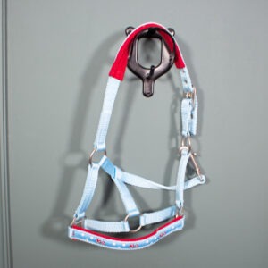 Halfter türkis Fohlen