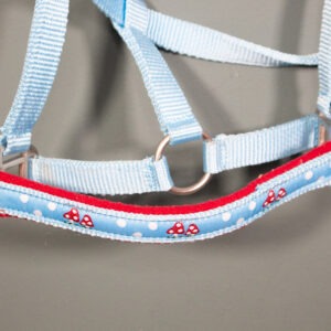 Halfter türkis Fohlen