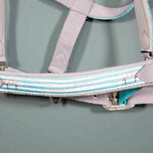 Showmaster Halfter türkis Pony