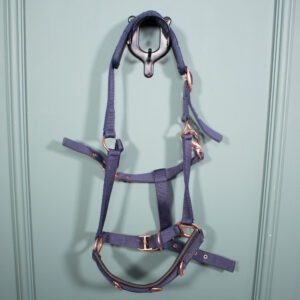 Showmaster Longierhalfter navy WB