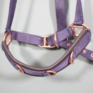 Showmaster Longierhalfter navy WB