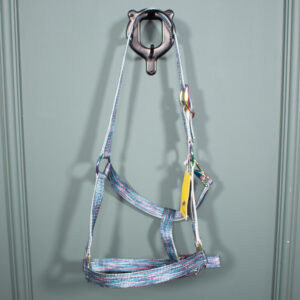 Felix Bühler Halfter Splash Stripy bunt COB