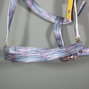 Felix Bühler Halfter Splash Stripy bunt COB