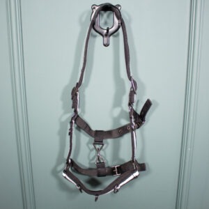 Showmaster Longierhalfter schwarz WB