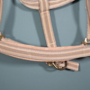 Equest Halfter beige WB