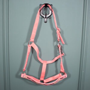 Showmaster Halfter rosa WB