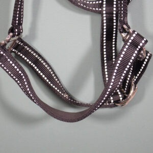 Equine Microtec Halfter schwarz WB