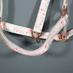 Showmaster Halfter grün WB