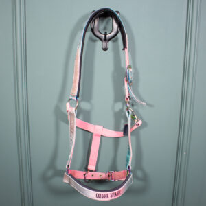 Felix Bühler Halfter bunt WB