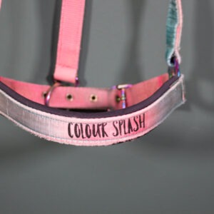 Felix Bühler Halfter bunt WB