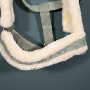 Showmaster Halfter grün Pony