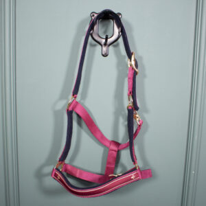 Felix Bühler Halfter rot COB