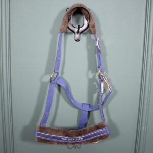 Waldhausen Halfter blau COB