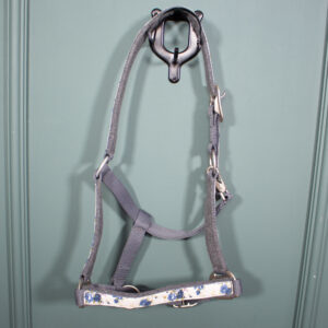 Felix Bühler Halfter grau WB