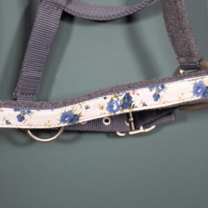 Felix Bühler Halfter grau WB