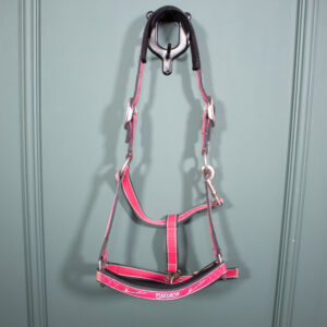 Eskadron Halfter raspberry WB