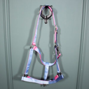 Felix Bühler Halfter hellblau/rosa WB