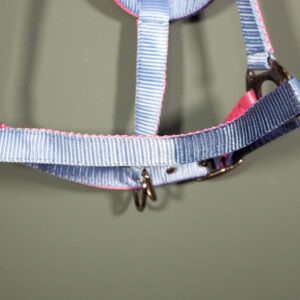 Felix Bühler Halfter hellblau/rosa WB