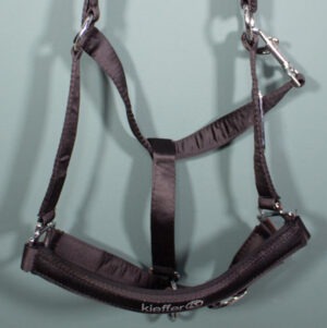 Kieffer Halfter schwarz WB