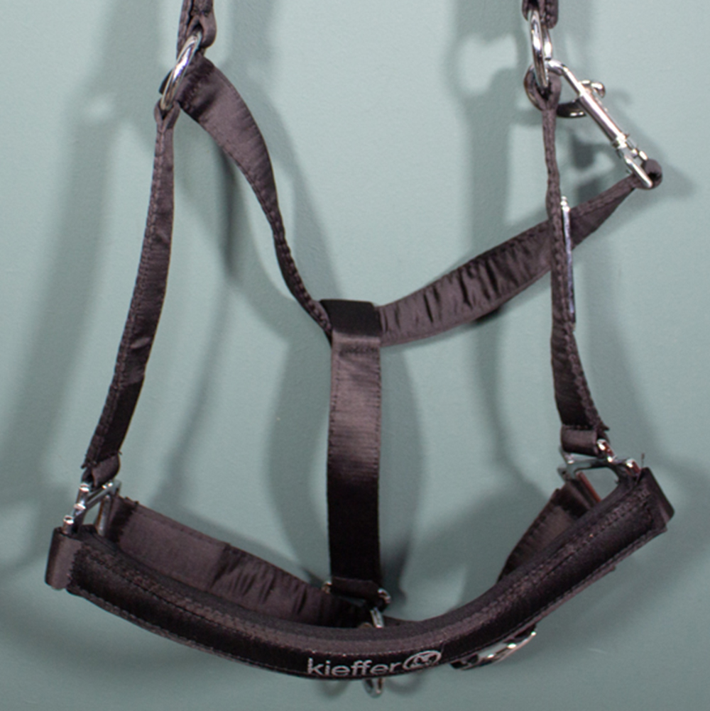 Kieffer Halfter schwarz WB – Bild 2