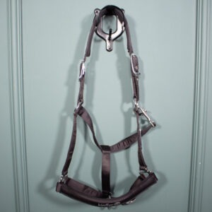 Kieffer Halfter schwarz WB