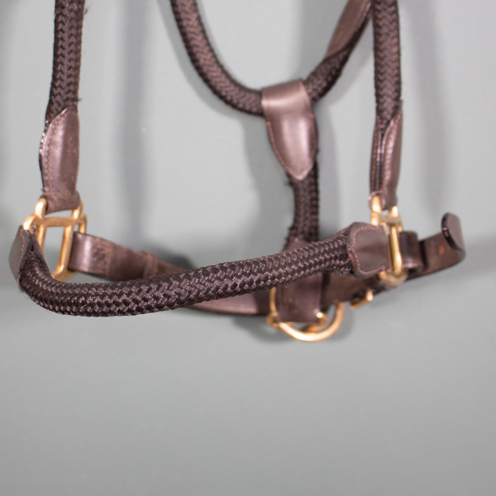 Lederhalfter braun COB – Bild 2