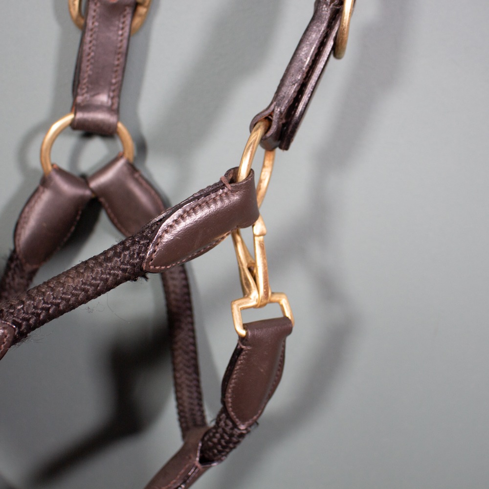 Lederhalfter braun COB – Bild 3