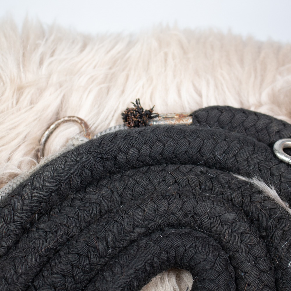 Longierhilfe schwarz WB – Bild 2