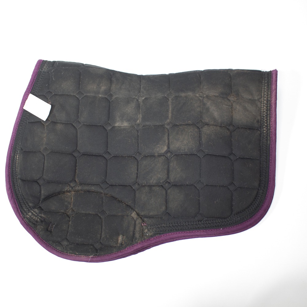 Felix Bühler Schabracke lila VS – Bild 3