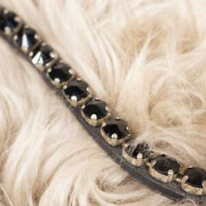 Stirnriemen schwarz COB