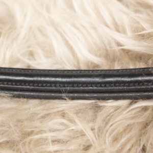 Steppenpferd Stirnriemen schwarz WB