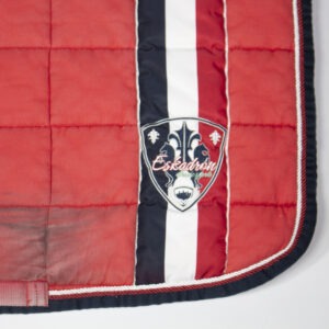 Eskadron Schabracke Big Square pepperred DR
