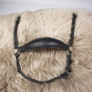Hannoveranisches Reithalfter schwarz Pony