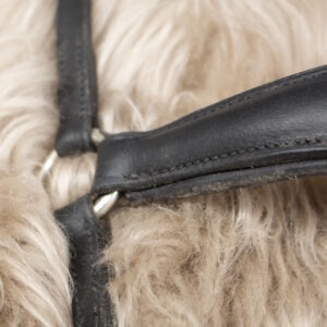 Hannoveranisches Reithalfter schwarz Pony