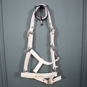 4Horses Halfter Talent beige Pony