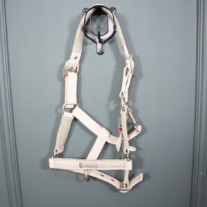 4Horses Halfter Talent beige Pony