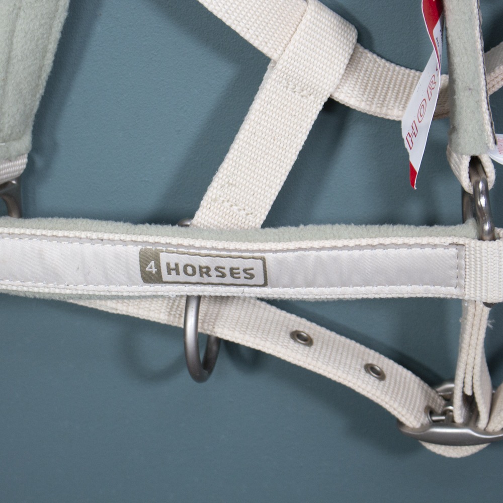 4Horses Halfter Talent beige Pony – Bild 2