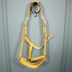 Kentucky Horsewear Halfter Velvet mustard WB