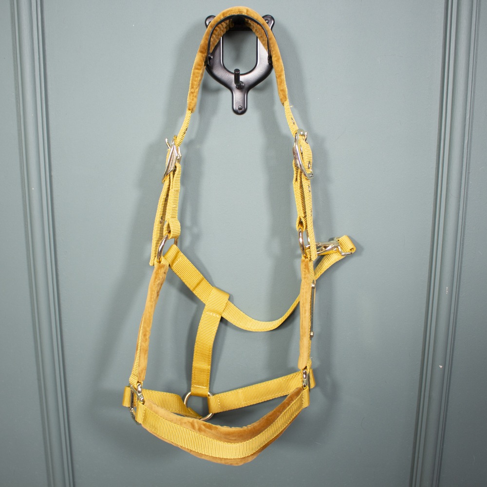Kentucky Horsewear Halfter Velvet mustard WB