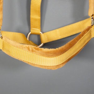 Kentucky Horsewear Halfter Velvet mustard WB