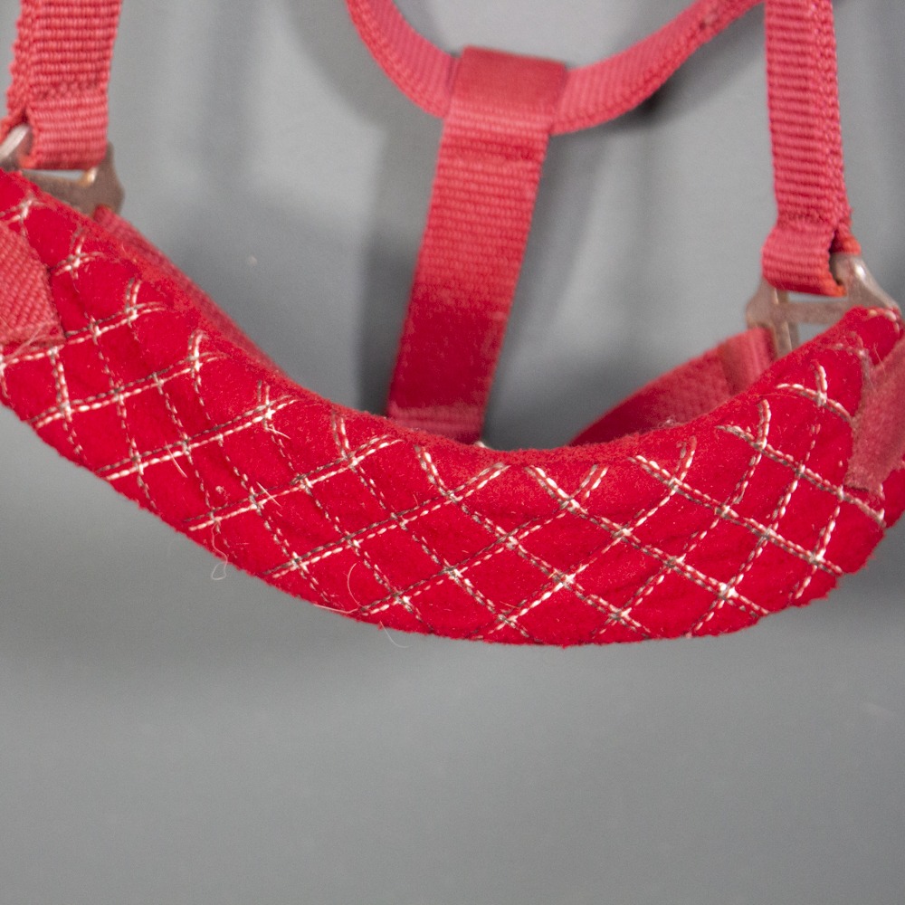 Showmaster Halfter rot Pony – Bild 2