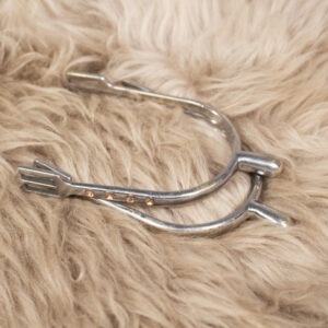 Sporen Dorn silber