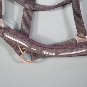 Eskadron Halfter Focus schwarz COB
